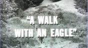 24. A Walk With an Eagle