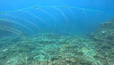 影／墾丁海洋保護區驚見漁網殺手 珊瑚產卵季發生更諷刺