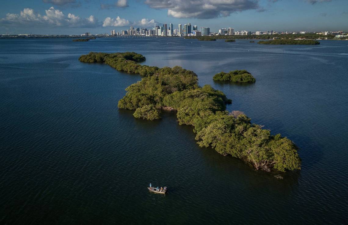 For sale: Unspoiled island in Biscayne Bay. Will it be a home for birds or billionaires?