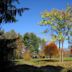 Lasdon Park and Arboretum