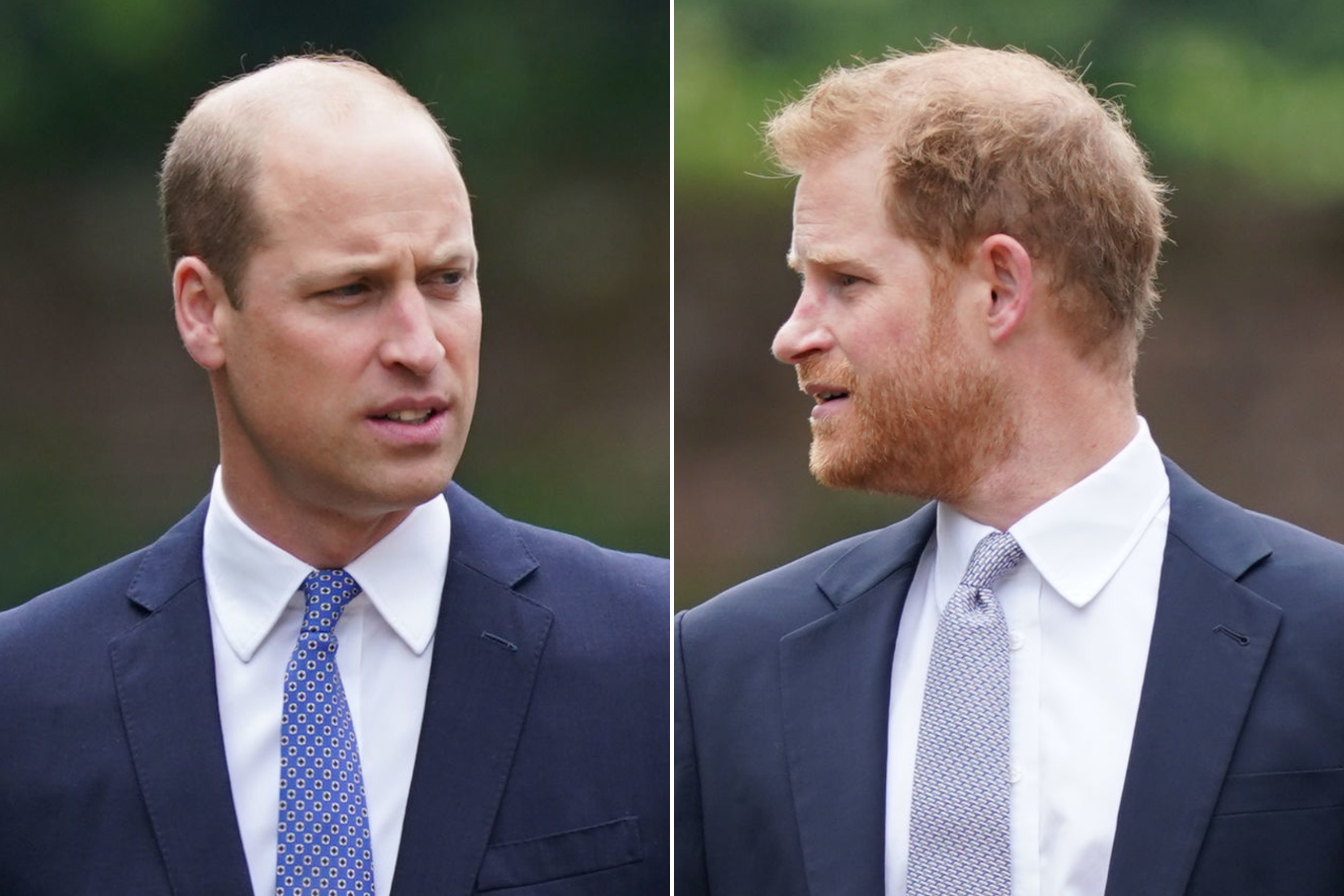 Prince Harry and Prince William touching moments go viral