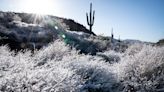 Where are the best chances for a white Christmas in Arizona this year?