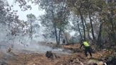 Controlan incendio en sierra Gorda de Hidalgo