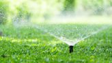 Experts Agree: This Is the Best Time of Day to Water Your Lawn