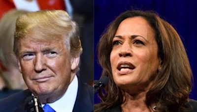 From Trump Vs. Harris Poll To Kim Jong Un Dismissing Ex-President's Friendship Claims And More: This Week In Politics