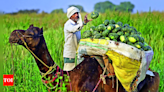 Fertiliser subsidy is queering the pitch for agricultural sector's growth - Times of India