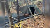 Cow rescued from water tunnel under Connecticut highway