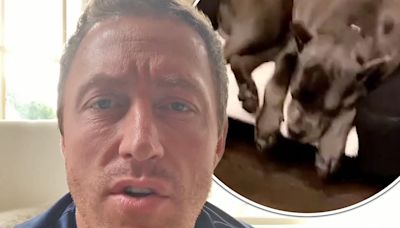 Kroy Biermann ticketed by police over 'aggressive' dog Stone