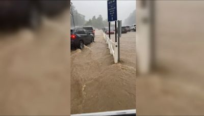 Dollywood patrons wade through knee-deep water as theme park floods