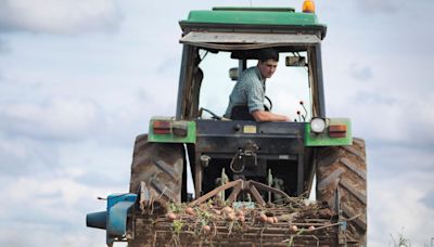 Farm incomes in NI almost halved in 2023