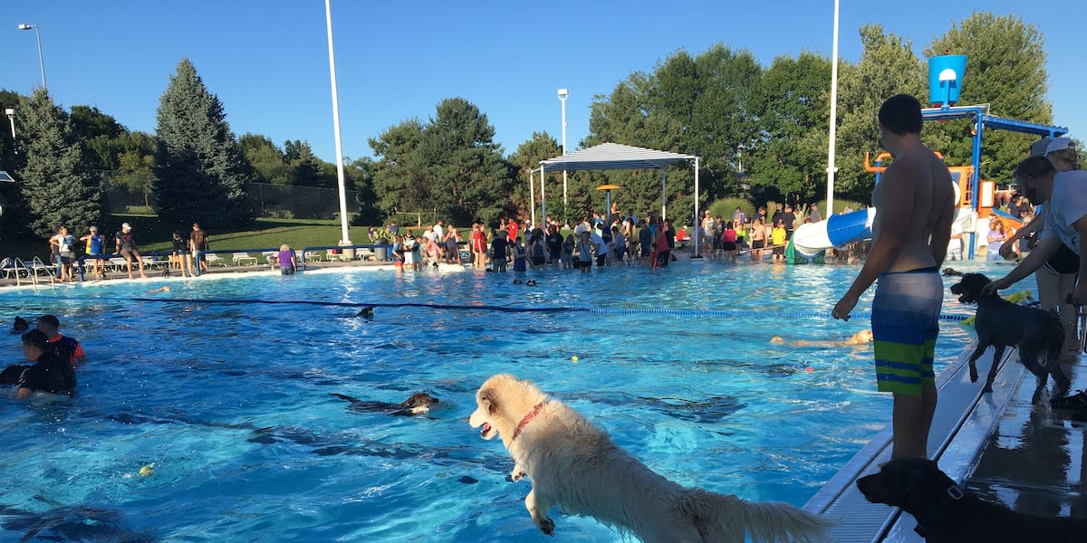 Lincoln Parks and Rec to host Dog Splash