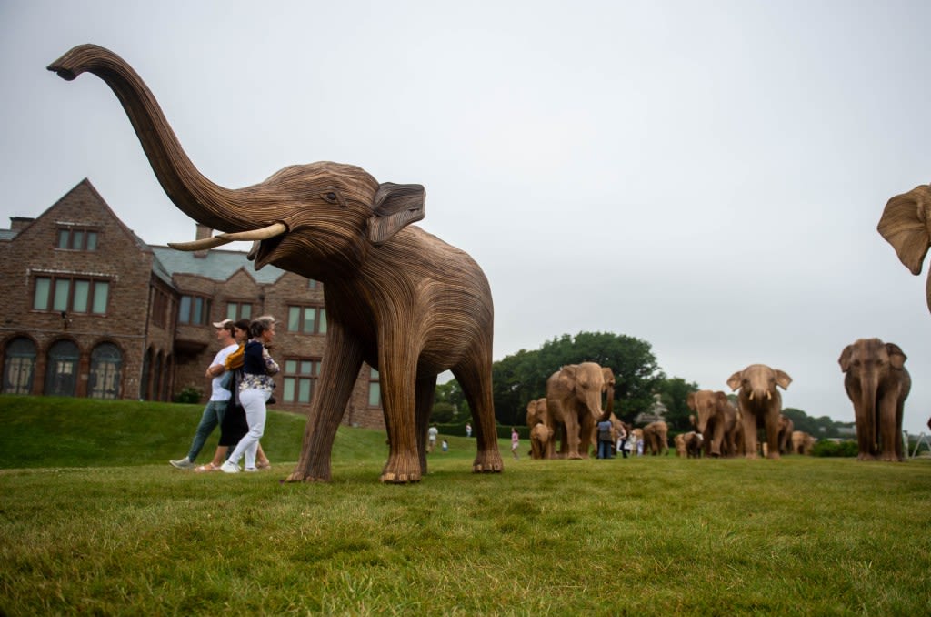 PHOTOS: Elephants arrive in Newport