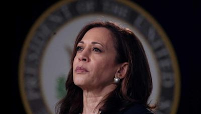 Democrats rally around Kamala Harris after Biden's endorsement; Trump reacts