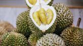 China to get fresh, not frozen, Malaysian durians from May 2024