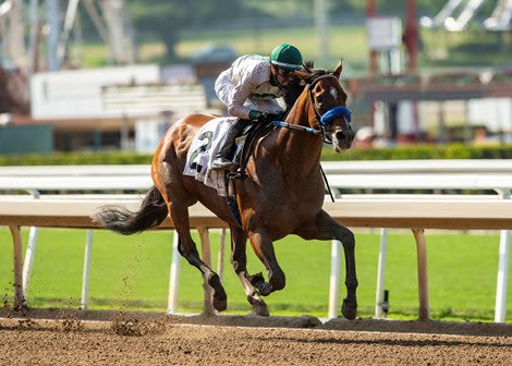 Flightline Half Brother Debuts With a Three-Length Win