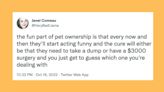 20 Of The Funniest Tweets About Cats And Dogs This Week (Oct. 15-21)