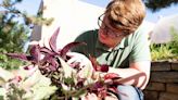 Extension horticulturists to give advice at Master Gardener Sick Plant Clinic in Topeka