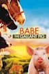 Babe (film)