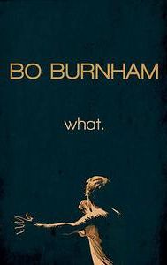 Bo Burnham: what.