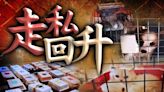 去年走私貓狗個案升至13宗 港府將設立專責調查組