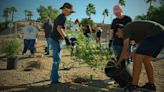 Planting the Future: 45 Trees and 90 Shrubs at a Time