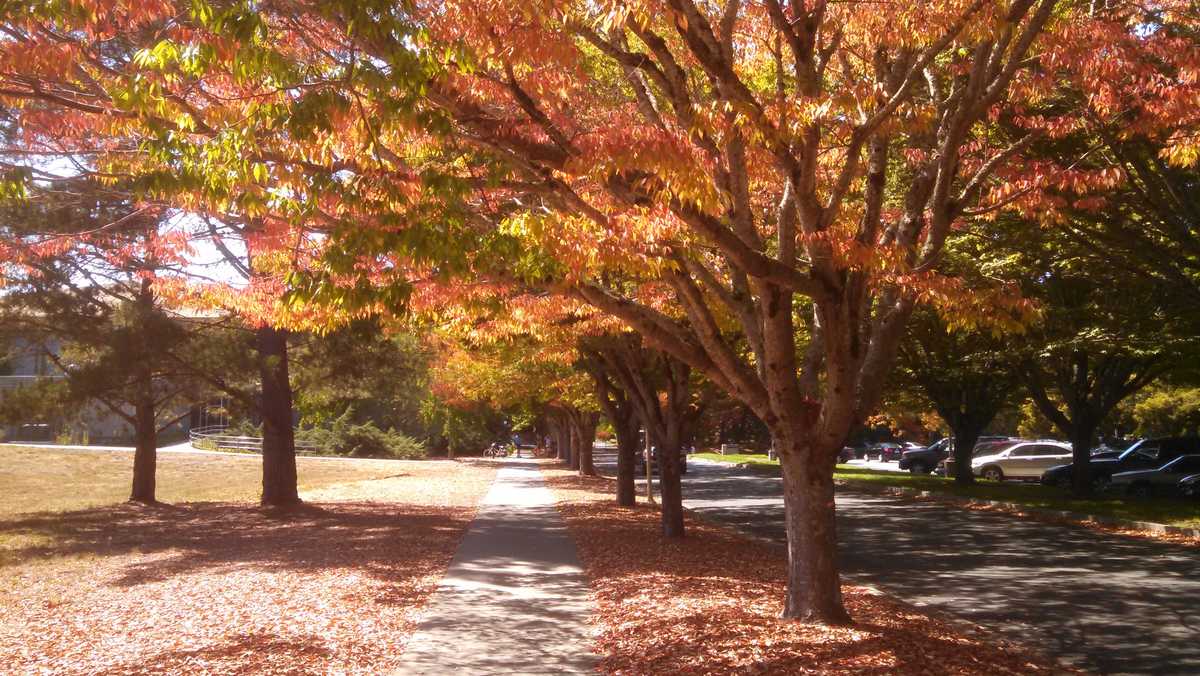 Sonoma State president put on leave for 'insubordination' after agreement with pro-Palestinian group