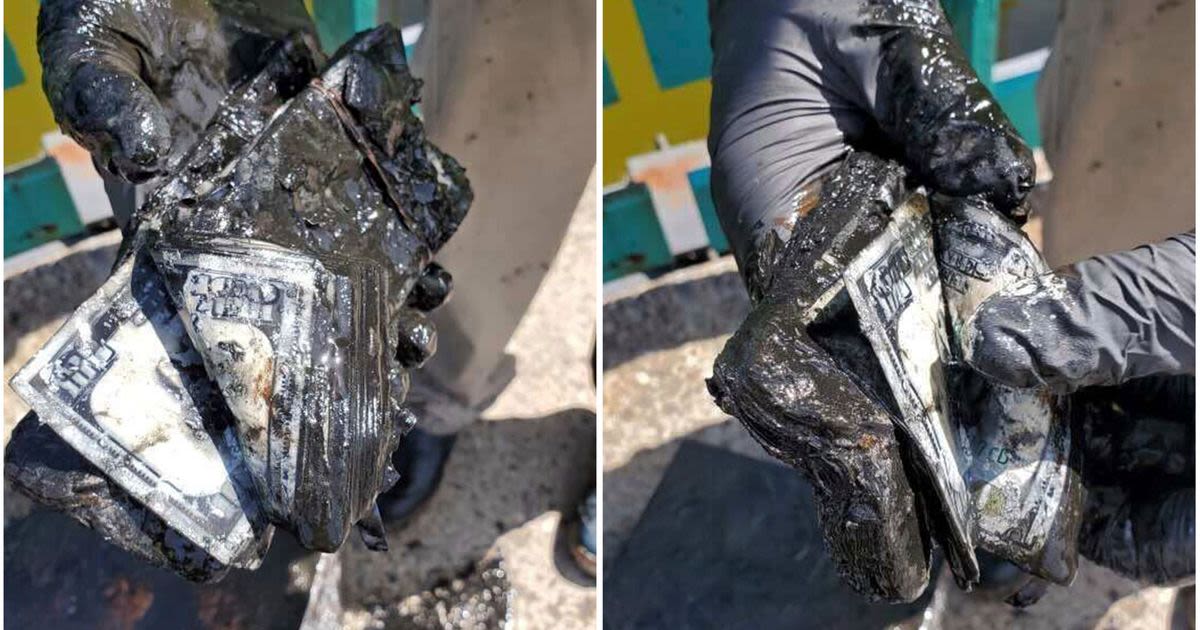 New York magnet fisher catches safe full of soggy $100 bills, he says
