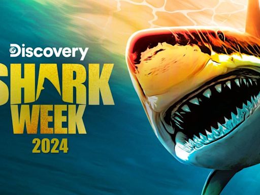 Top 10 Shark Week 2024 Specials to Stream on Max