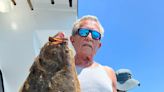 New Jersey's fishermen, marine council support long fluke season