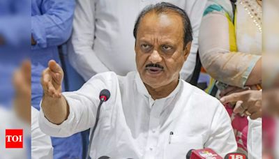 Ajit Pawar heaps praise on Devendra Fadnavis for helping Mumbai's infra projects clear hurdles | Mumbai News - Times of India