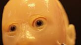 Scientists in Japan Give Robots a Fleshy Face and a Smile