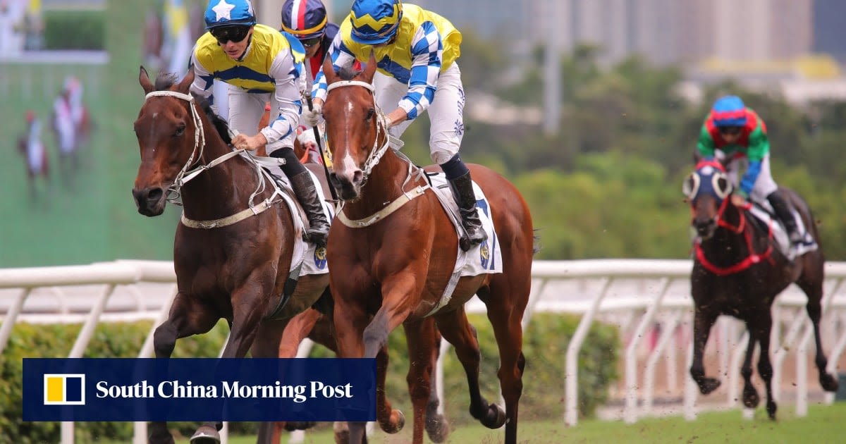 Cruz rates Five G Patch his strongest chance of landing 11th Champions & Chater Cup