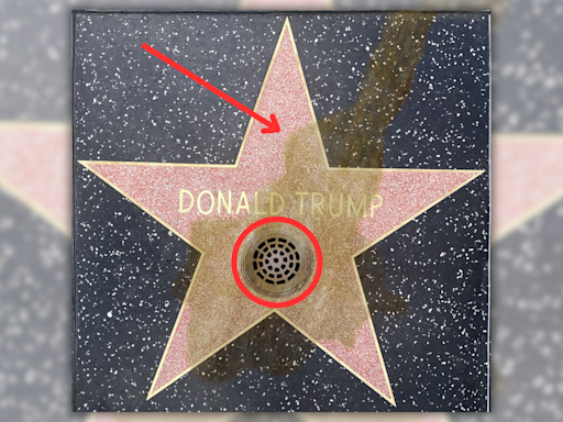 ...Check: Images Show Drain Added to Trump's Hollywood Walk of Fame Star Because People Supposedly Kept Peeing on It...