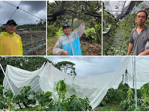 凱米重創番路農作物 農會助農民爭災損 | 蕃新聞