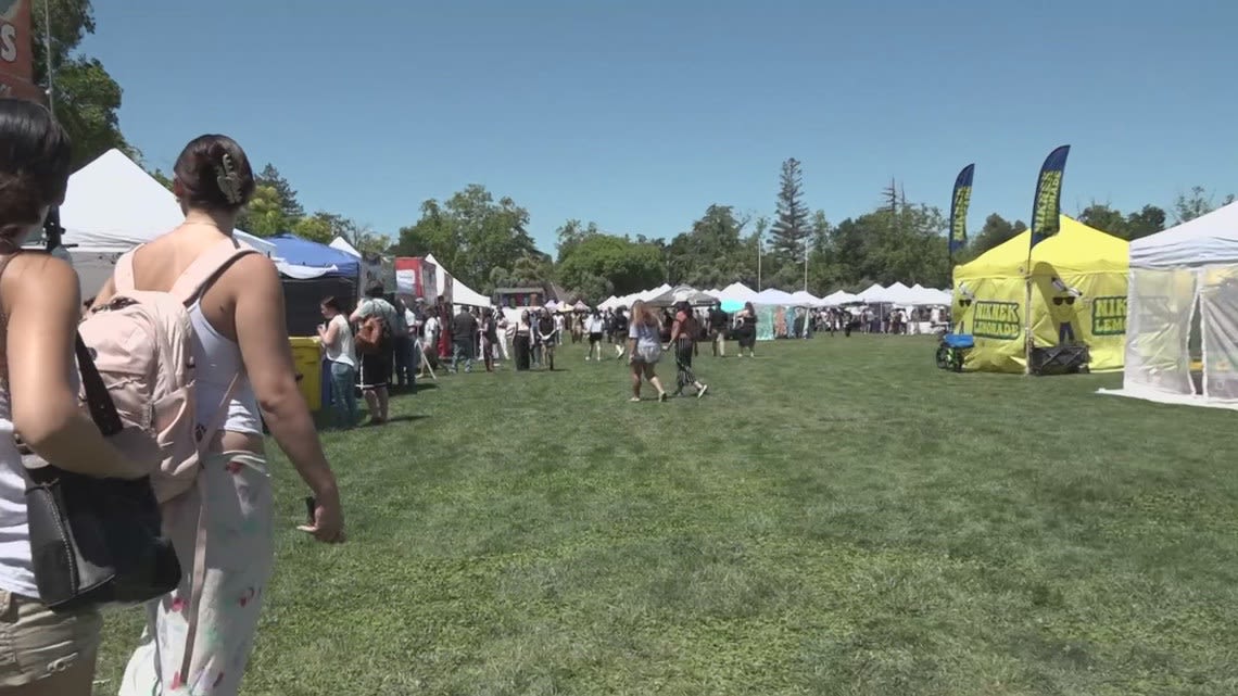 Davis Whole Earth Festival moves to new location while protestors occupy quad