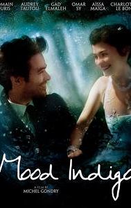 Mood Indigo (film)