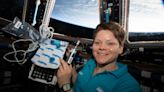 Good news for astronauts: Fatty tissue helps replenish bone and red blood cells in space