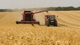 Se celebra el Día del Agricultor en Argentina: el suceso histórico que dio origen a este festejo