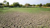 Water bond would benefit farmers and rare San Joaquin Valley grasslands area | Opinion