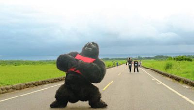 台東長濱馬拉松湧1700人 金剛、龍蝦、嫦娥搶盡鋒頭