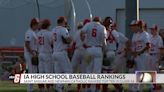 Newman Catholic and St. Ansgar Baseball remain in Class 1A rankings with playoffs looming