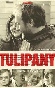 Tulipany