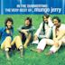 In the Summertime: The Very Best of Mungo Jerry [Sanctuary]