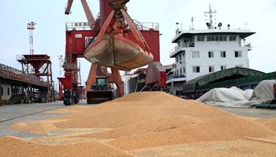 La cuota de EEUU en el mercado chino de soja disminuye a medida que Argentina aumenta su oferta