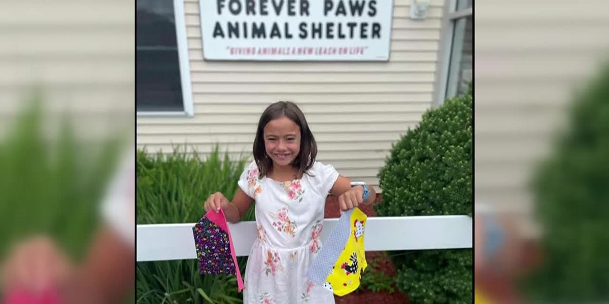 11-year-old sews bandanas for shelter animals to help them get adopted