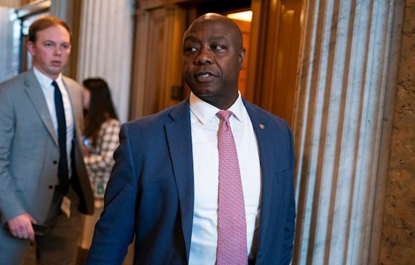 Tim Scott: ‘The View’ hosts ‘attacking me again’ for being only Black GOP senator