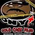 Cold Case Files