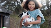 25 best first pets for children