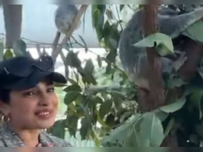 At an Australian homestead, Priyanka Chopra meets a baby koala named after her - CNBC TV18