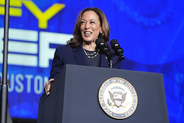 Harris officially becomes Democratic Party’s presidential nominee | Northwest Arkansas Democrat-Gazette